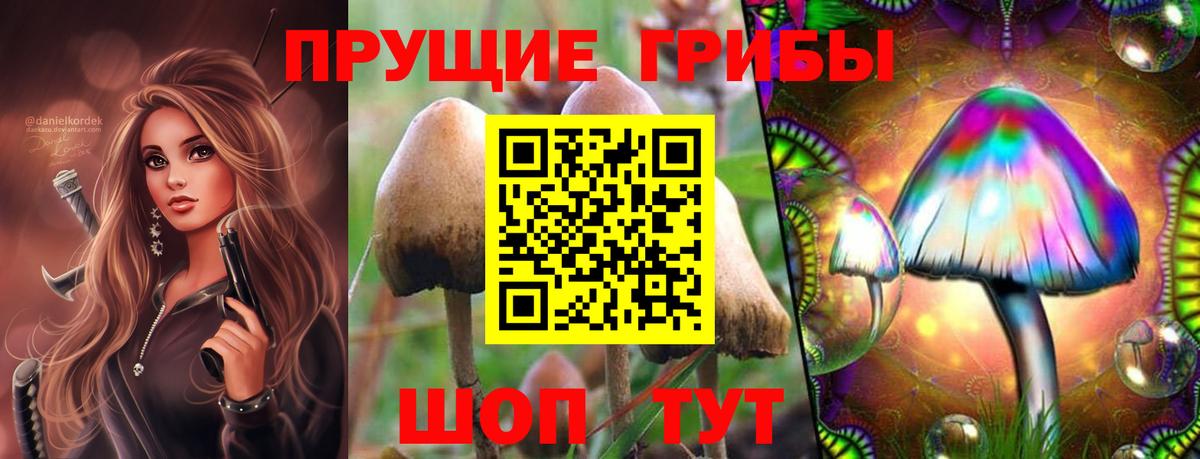 Псилоцибиновые грибы Magic Shrooms  Галлюциногенные грибы прущие грибы  Вход с VPN  Среднеуральск 